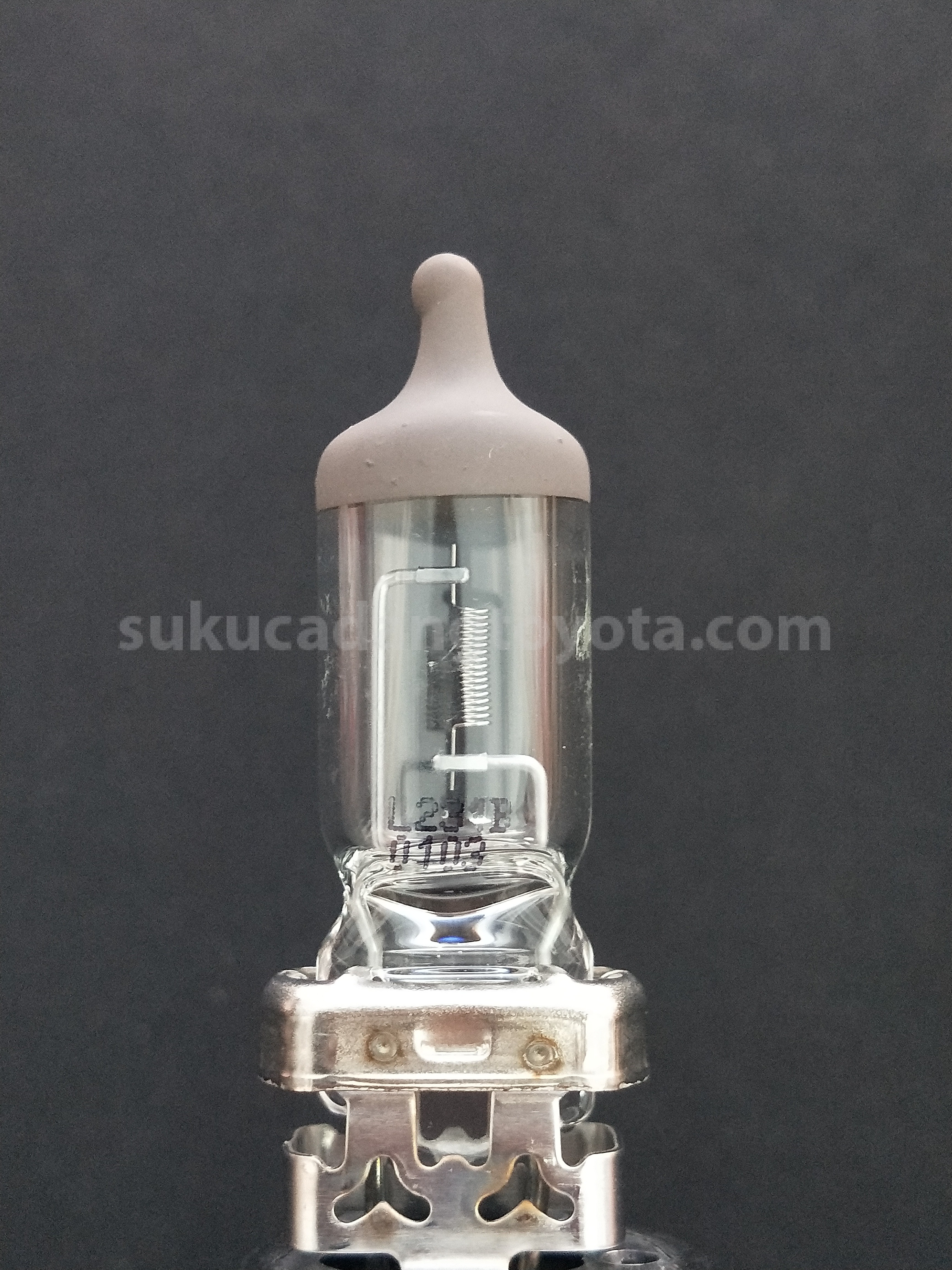 9008081040 BULB - TOYOTA