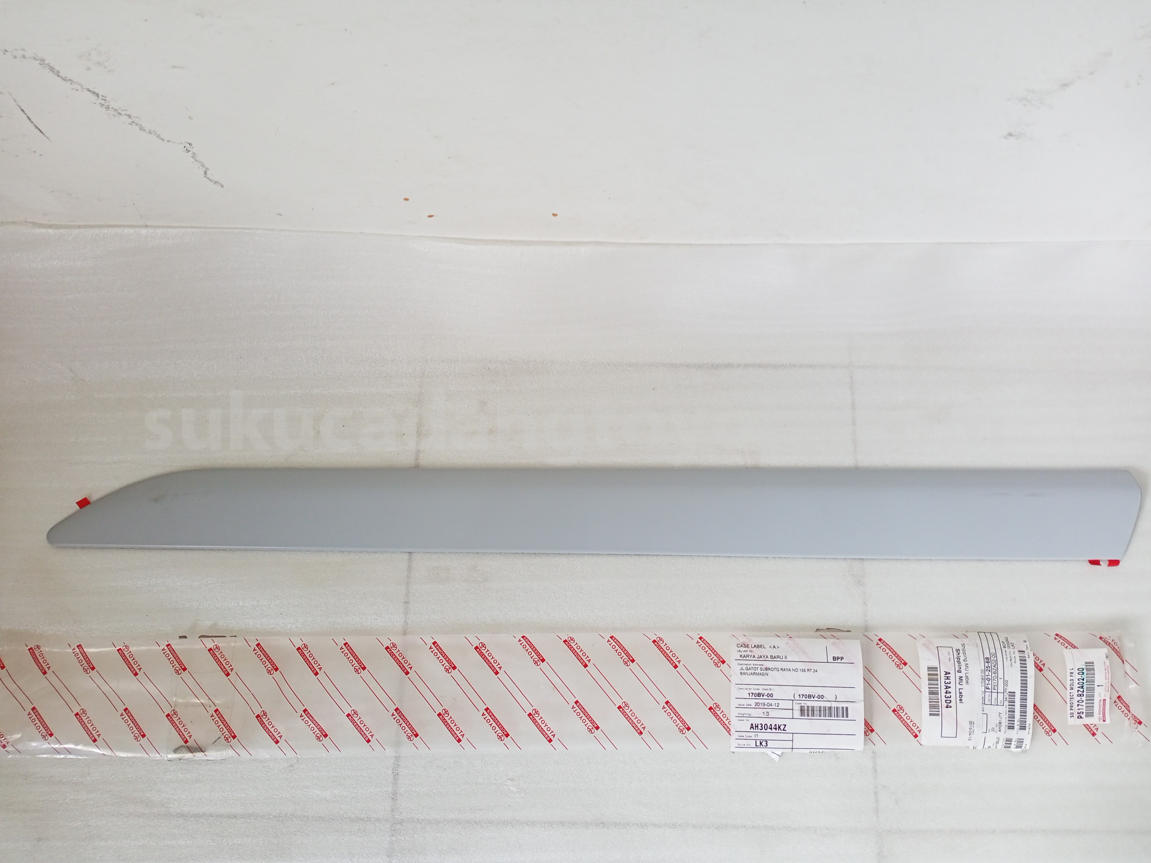 P5170BZA0200 SD PROTECT MOLD FR L - TOYOTA